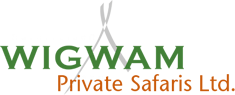 Wigwam Private Safaris
